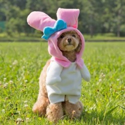 My Melody Pet Dress: Ss Costume