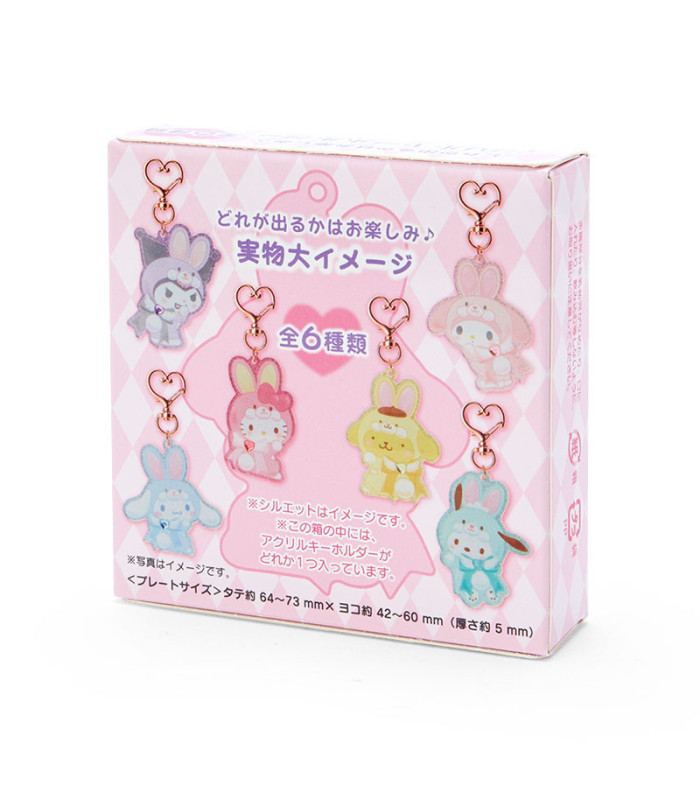 Assorted Characters Key Chain: Secret Rabbit