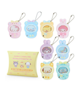 Assorted Characters Secret Blind Box Acrylic Charm: Baby