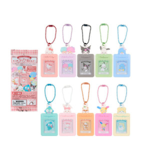 Assorted Characters Secret Instax Holder: A ID