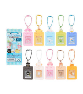 Assorted Characters Secret Instax Holder: B ID